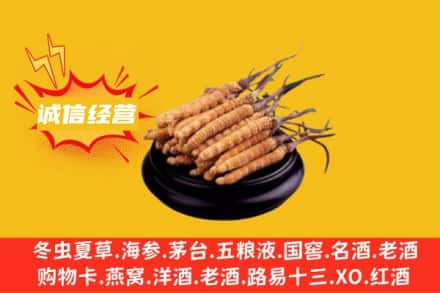 修文县回收冬虫夏草